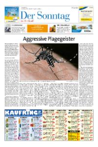 Vorschaubild für 