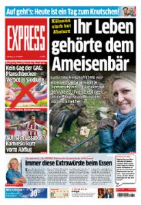 Vorschaubild für 
