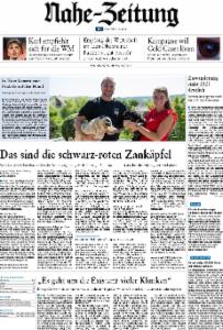 Vorschaubild für 