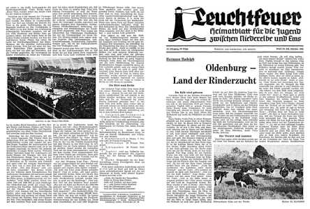 Vorschaubild für 