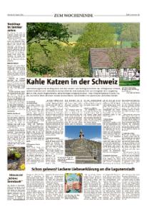Vorschaubild für 
