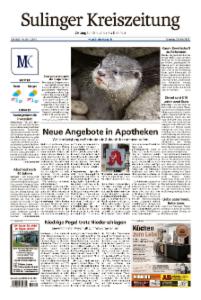 Vorschaubild für 