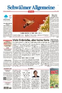 Vorschaubild für 