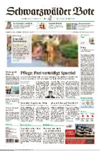 Vorschaubild für 